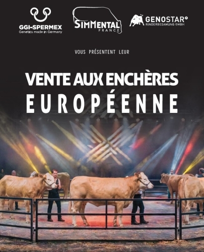 Vente Européenne au Sommet !