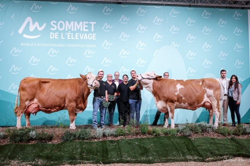 Affluence record au Sommet !