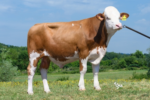Un potentiel Taux hors du commun !
