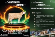 Actualité