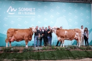 Actualité