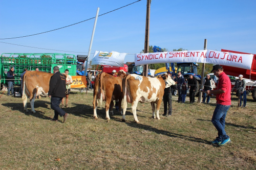 Concours départemental du Jura